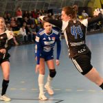 Házenkářky Písku poslední krok do play off zatím neudělaly