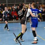 Házenkářky Písku poslední krok do play off zatím neudělaly