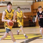 VIDEO: Poslední dva duely před play off pro písecké Sršně