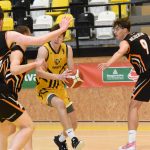 VIDEO: Poslední dva duely před play off pro písecké Sršně