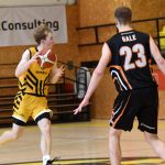 VIDEO: Poslední dva duely před play off pro písecké Sršně