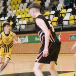 VIDEO: Poslední dva duely před play off pro písecké Sršně
