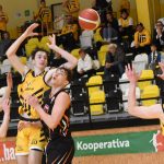 VIDEO: Poslední dva duely před play off pro písecké Sršně