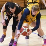 VIDEO: Poslední dva duely před play off pro písecké Sršně