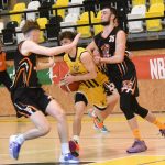 VIDEO: Poslední dva duely před play off pro písecké Sršně
