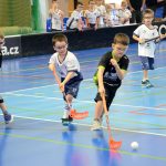 Nejmenší florbalisté z celého kraje se sešli v Milevsku