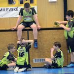 Házenkářský potěr z celého kraje bojoval v Milevsku