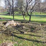 Jaké mají milevští premonstráti hospodářské plány?