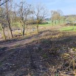 Jaké mají milevští premonstráti hospodářské plány?