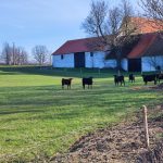 Jaké mají milevští premonstráti hospodářské plány?