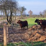 Jaké mají milevští premonstráti hospodářské plány?