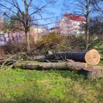 Jaké mají milevští premonstráti hospodářské plány?