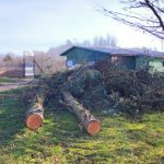 Jaké mají milevští premonstráti hospodářské plány?