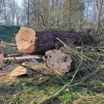 Jaké mají milevští premonstráti hospodářské plány?