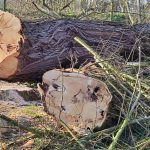 Jaké mají milevští premonstráti hospodářské plány?