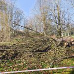 Jaké mají milevští premonstráti hospodářské plány?