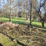 Jaké mají milevští premonstráti hospodářské plány?
