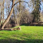 Jaké mají milevští premonstráti hospodářské plány?