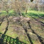 Jaké mají milevští premonstráti hospodářské plány?