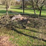 Jaké mají milevští premonstráti hospodářské plány?