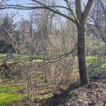 Jaké mají milevští premonstráti hospodářské plány?