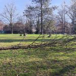 Jaké mají milevští premonstráti hospodářské plány?