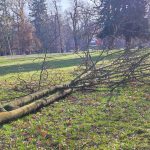 Jaké mají milevští premonstráti hospodářské plány?