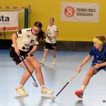Písecké florbalistky nestačily na soupeřky z Vítkovic