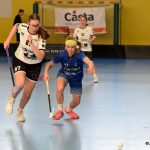 Písecké florbalistky nestačily na soupeřky z Vítkovic