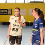 Písecké florbalistky nestačily na soupeřky z Vítkovic