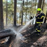 Hasiči likvidovali v neděli tři lesní požáry. Jednoho si všiml pilot letadla