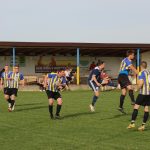 Bojovně naladění fotbalisté Vlastiboře si doma vyšlápli na březnického favorita