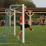 Bojovně naladění fotbalisté Vlastiboře si doma vyšlápli na březnického favorita