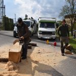 V plánské mateřince Pohádka slavily děti Den země se zvířaty i tříděním nepořádku