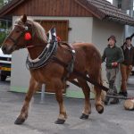 V plánské mateřince Pohádka slavily děti Den země se zvířaty i tříděním nepořádku