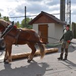 V plánské mateřince Pohádka slavily děti Den země se zvířaty i tříděním nepořádku