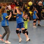 Píseckou obloukovou halu zaplnily házenkářské naděje z celého kraje