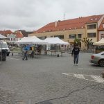 Akci Den země v Písku nepřálo počasí. Část programu musela být zrušena