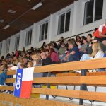 Zaplněná sportovní hala v Milevsku sledovala ukázky sletových skladeb. Sokolská akademie i letos nadchla publikum