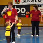 Zaplněná sportovní hala v Milevsku sledovala ukázky sletových skladeb. Sokolská akademie i letos nadchla publikum