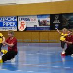 Zaplněná sportovní hala v Milevsku sledovala ukázky sletových skladeb. Sokolská akademie i letos nadchla publikum