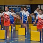 Zaplněná sportovní hala v Milevsku sledovala ukázky sletových skladeb. Sokolská akademie i letos nadchla publikum