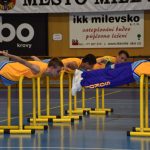 Zaplněná sportovní hala v Milevsku sledovala ukázky sletových skladeb. Sokolská akademie i letos nadchla publikum