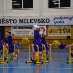 Zaplněná sportovní hala v Milevsku sledovala ukázky sletových skladeb. Sokolská akademie i letos nadchla publikum