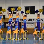 Zaplněná sportovní hala v Milevsku sledovala ukázky sletových skladeb. Sokolská akademie i letos nadchla publikum