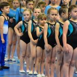 Zaplněná sportovní hala v Milevsku sledovala ukázky sletových skladeb. Sokolská akademie i letos nadchla publikum