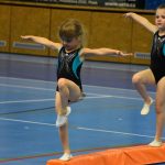 Zaplněná sportovní hala v Milevsku sledovala ukázky sletových skladeb. Sokolská akademie i letos nadchla publikum