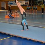 Zaplněná sportovní hala v Milevsku sledovala ukázky sletových skladeb. Sokolská akademie i letos nadchla publikum