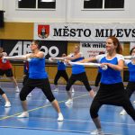Zaplněná sportovní hala v Milevsku sledovala ukázky sletových skladeb. Sokolská akademie i letos nadchla publikum