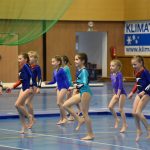 Zaplněná sportovní hala v Milevsku sledovala ukázky sletových skladeb. Sokolská akademie i letos nadchla publikum